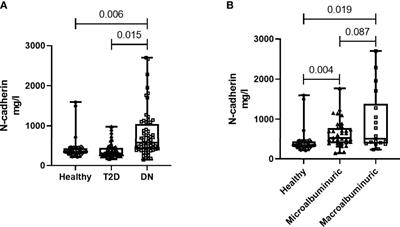 Potential Role of N-Cadherin in Diagnosis and Prognosis of Diabetic Nephropathy